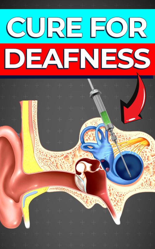 A re-sounding success 👂🔈 #medicine #breakthrough #sciencetok #fyp #innovation