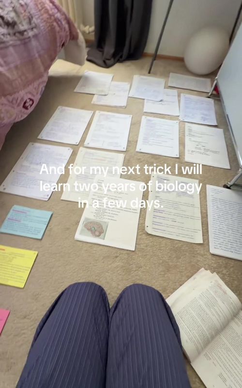 #biology #prokrastination #lebenamlimit #abi 
