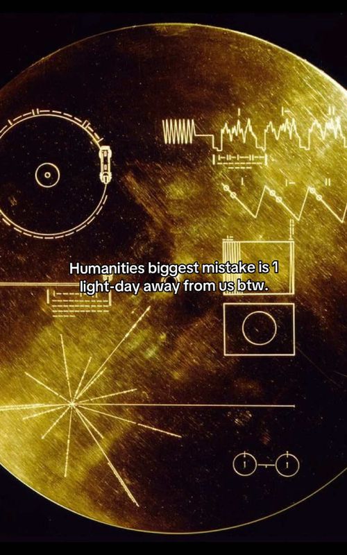 THE GOLDEN RECORD | #Astronomy #space #fyy #fyp #universe | ib: @♢GoatNamedGurke♢ 