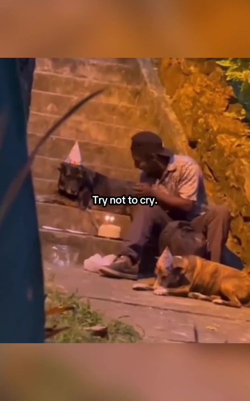 Most emotional clips #wholesome #nourishment #lifeisbeautiful #bekind #hopecore 