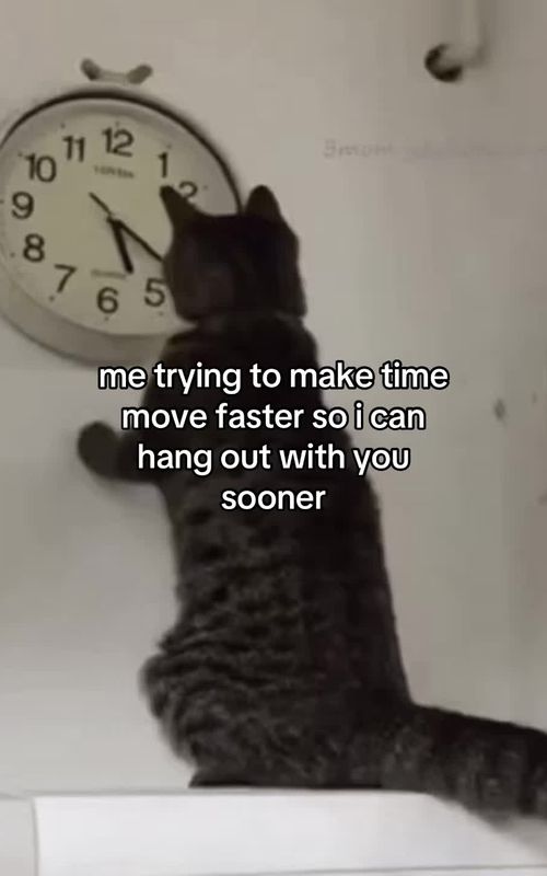 relatable? #fyp #relatable #meme #couple #Relationship 