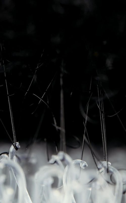 How things actually work in #macro #slowmo #urday #closeup #sastisfying 