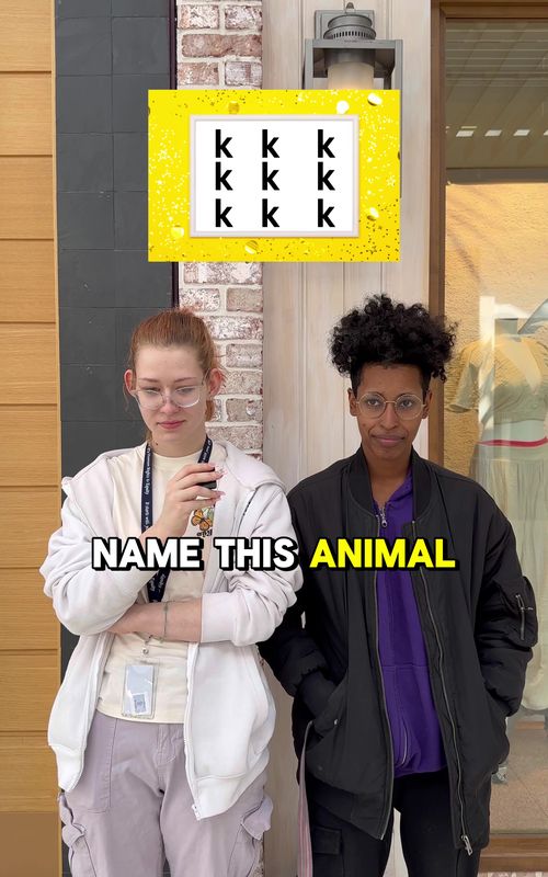 Tricky Brain Teasers 🧠  #gameshow #brainteaser #puzzle #braingame #puzzles #rebus #rebuspuzzle #game #gameshows #puzzlegame #puzzlovers #partygame #brainteasers 