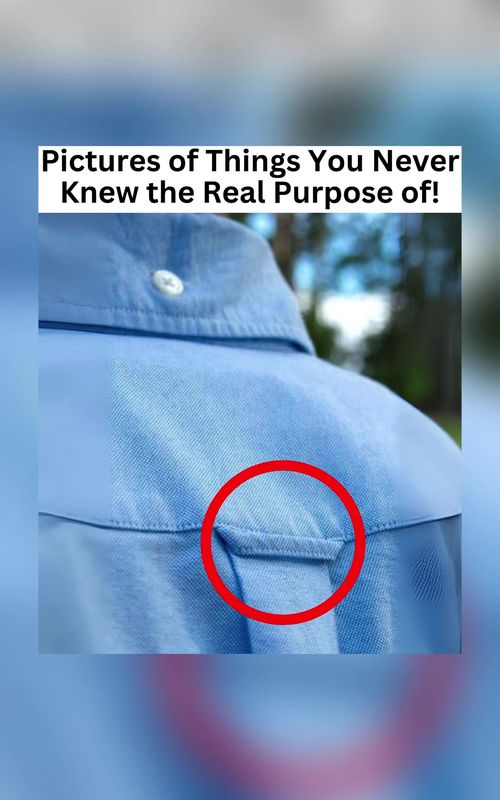 Pictures of Things You Never Knew the Real Purpose of 👀😳 #didyouknow #fyp #thingsyoudidntknow #interesting #neverseenbefore 