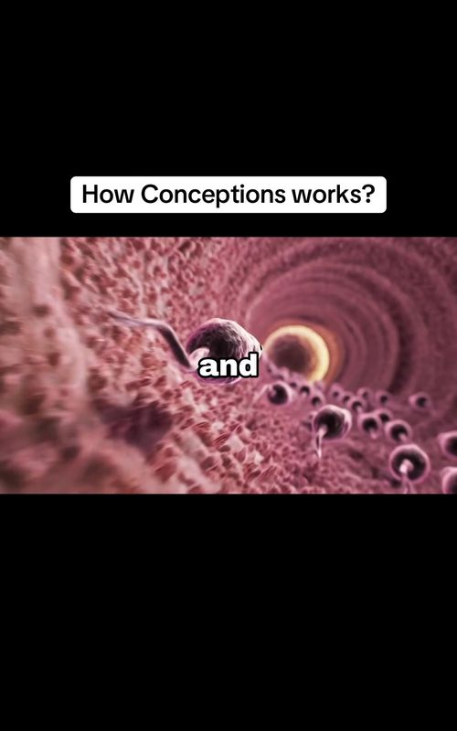 How conception works? #pregnancyjouney #conception #creatorsearchsight #viralvideos 