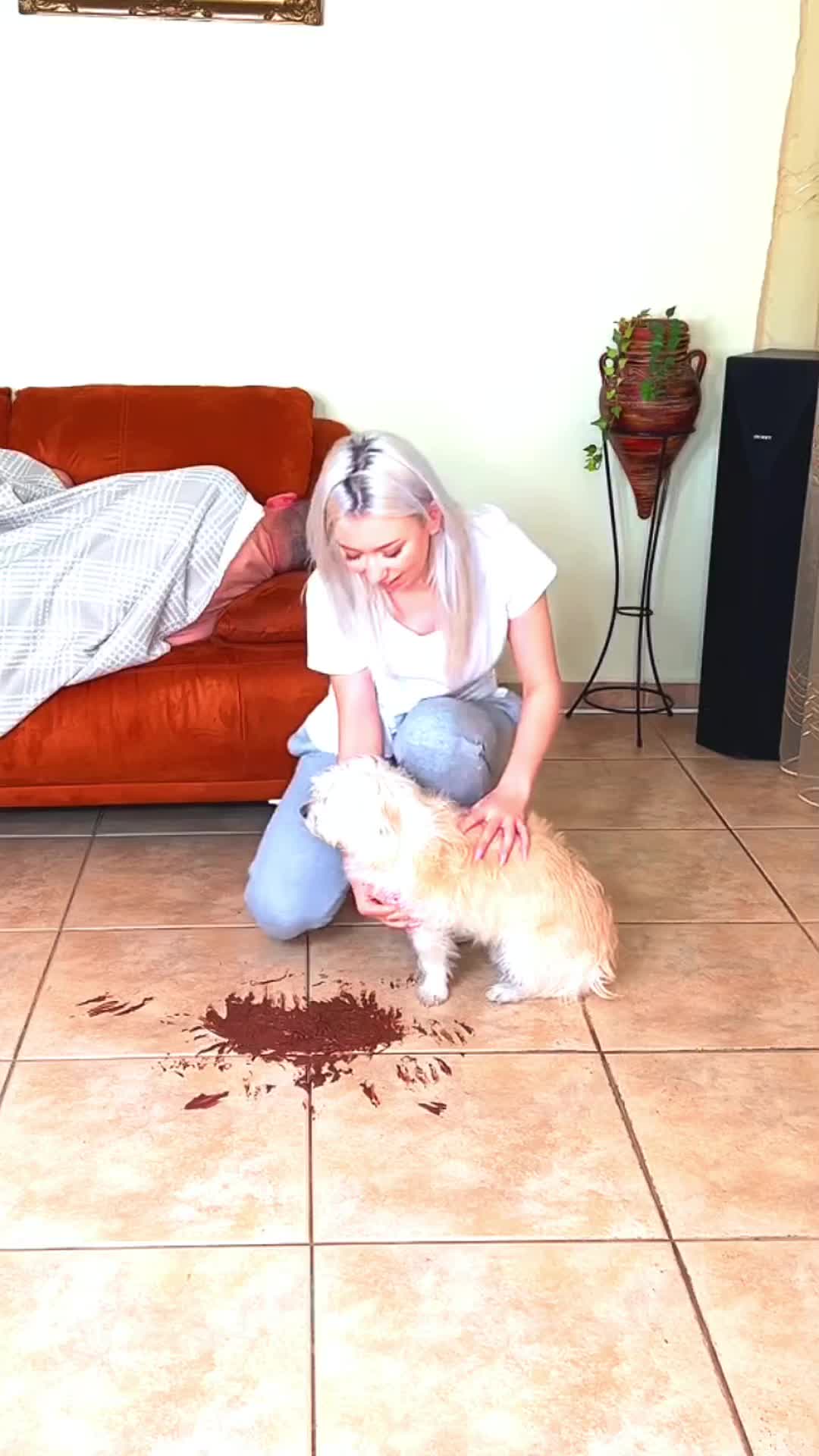 #foryou #fyp #foryoupage #prank #funny #funnypranks #scared #fail #scarepranks #viral #tiktok 
