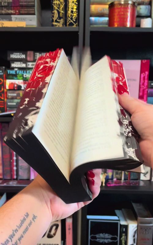 #BookTok #bookrecs #darkromance #sprayededges #hauntingadeline 
