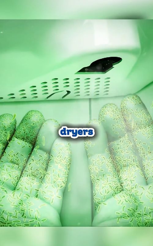 Hand Dryers vs Paper Towels?! (Hygiene Test) #fyp #myth #viral #trend 