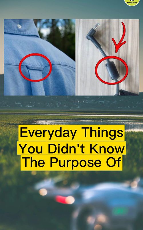 Everyday Things You Didn't Know The Purpose Of #facts #factsmatter #reels #viral #fyp Music: bensound.com