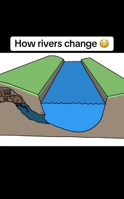 The end is crazy 😳😱 #fyp #howthingswork 
