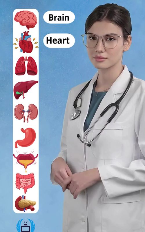 Learn Human Body Organs Names  . #english #englishlearning #learnenglish #englishtips #englishidioms #vocabulary #f #fyp #fl #fly #flypシ #flyp #k #shorts #flpシ #fyy #fy #shortsvideo 