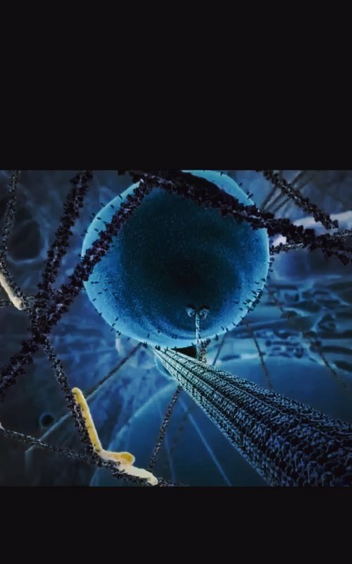 🎶✨ KINESIN: The Tiny Protein That MOVES Your Cells! ✨🎶 Did you know your cells have tiny delivery trucks inside them? 🚛💨 Kinesins are motor proteins that walk along microscopic highways (microtubules!) to transport cargo like organelles, vesicles, and even chromosomes! 🧬🔬   🔹 How? They use ATP (cell energy!) to take steps like a nanoscale robot. 🤖   🔹 Why? Without them, your cells couldn’t divide, neurons wouldn’t function, and life would literally stop! ⚡   #ScienceTok #CellBiology #Biochemistry #LearnOnTikTok #Microbiology #FunFacts  #biology 