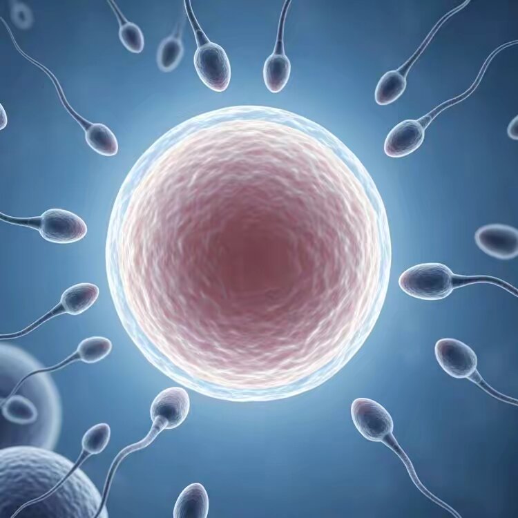 fertility specialist