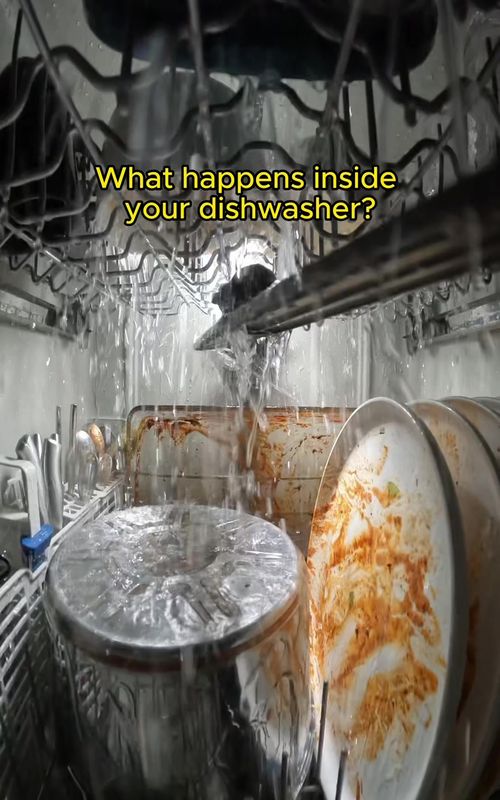 What happens inside your dishwasher?