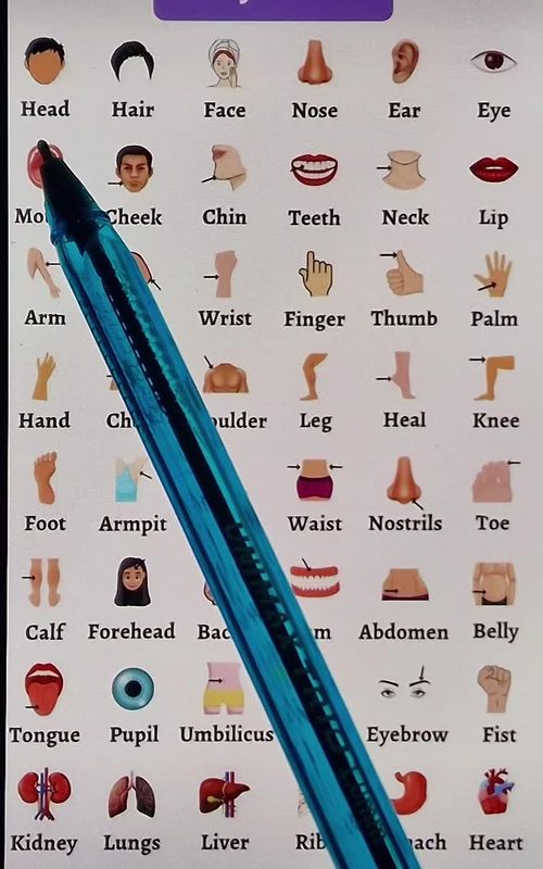 📚 Do you want to learn English fast and easily? You're in the right place! 💪 Watch my short lessons every week and improve your English step by step. Join our community of learners today and start speaking confidently! 🌍✨ Don’t forget to follow for more exclusive lessons 🔥 #learnenglish #englishforyou #englishlesson #englishteacher #englishlearning 