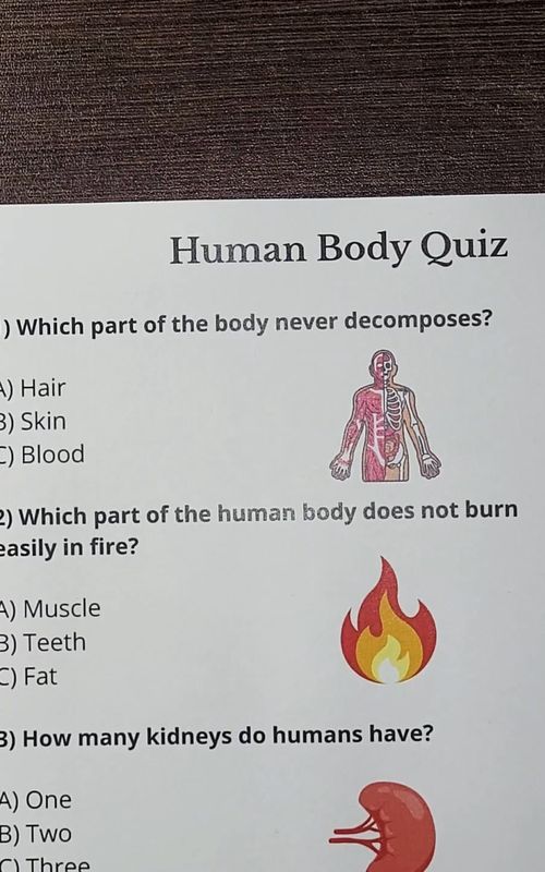 Human Body Quiz - Can You Get 7/7? #quiz #quiztime #humanbody #trivia #answer