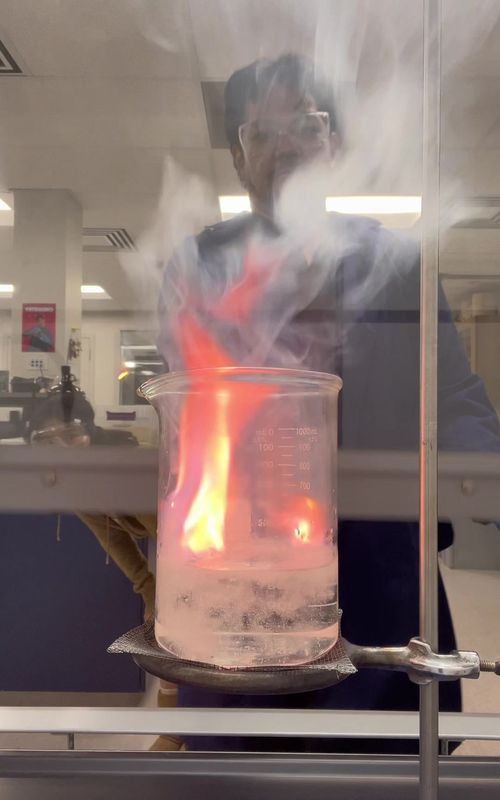 SCIENCE! 🧪 ⚛️ 🧑🏽‍🔬 #chemistry #potassium #experiment #science #laboratory 
