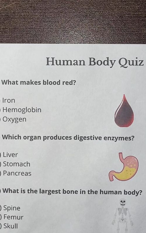 Human Body Quiz - Can You Get 7/7? #quiz #quiztime #trivia #answer #humanbody