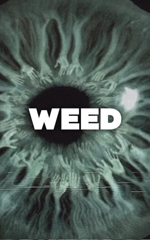 How weed affects your brain explain using psychology - Quit using @TBreak App #educational #psychology #brain #Science #neuroscience 