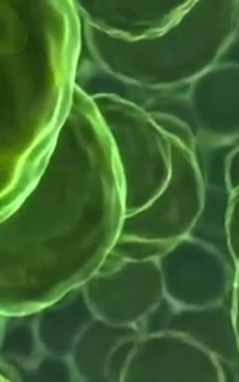 First Time Editing SCIENCE......... #science #fypシ゚viral #fyp #trilliumhardtekk #music 