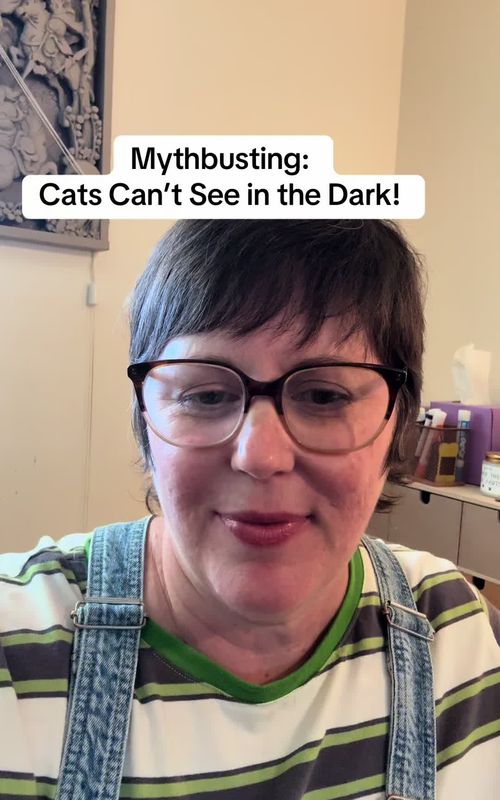 Bursting the myth that cats can see in the dark