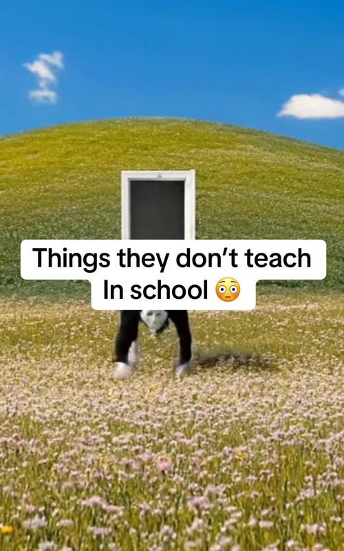 Things they don’t teach in school #fyp #viral #viralvideo #facts #fypシ 