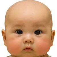 baby_baby_noah