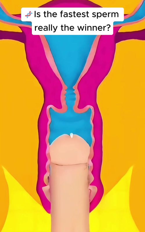 • Is the fastest sperm really the winner? #pregnancy #pregnantlife #pregnantjourney #pregnanttiktok #pregnant 
