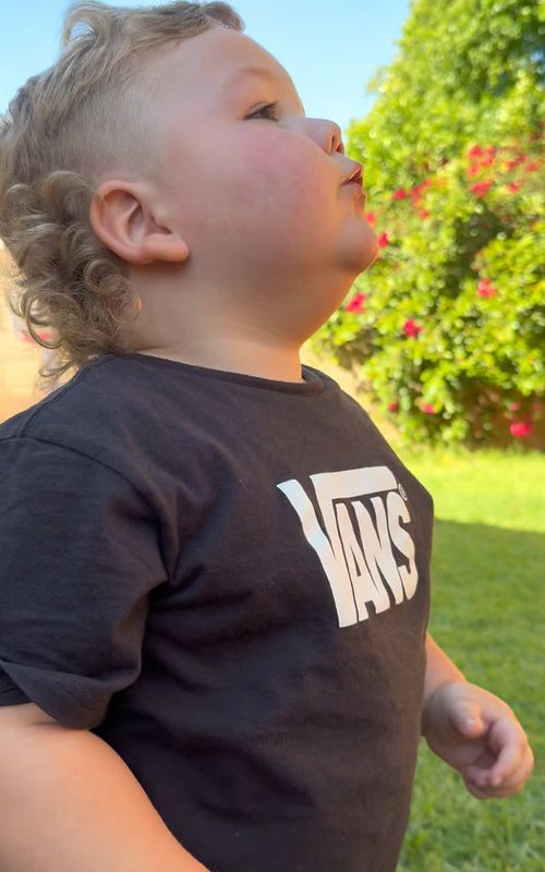 Put his whole heart and lungs into that one. 🤣🐶 #funnykids #toddlersoftiktok #toddlerlife #funnytoddler #wholesome 
