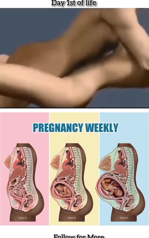 36 weeks #Tiktok #goforyou #Fyp #viral #Foryou 