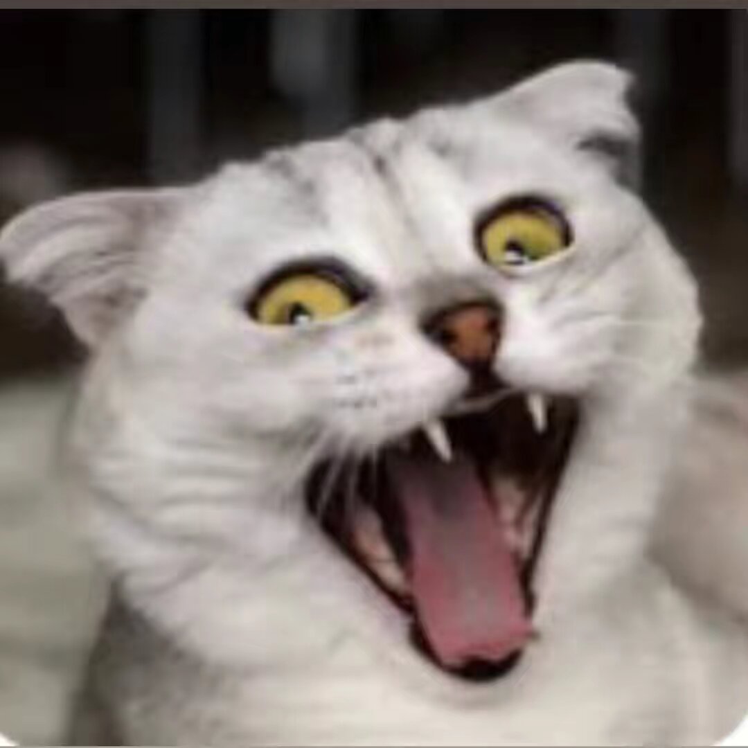 funnykids007