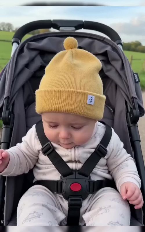 ##baby #babylove #babytiktok #pet #dog 