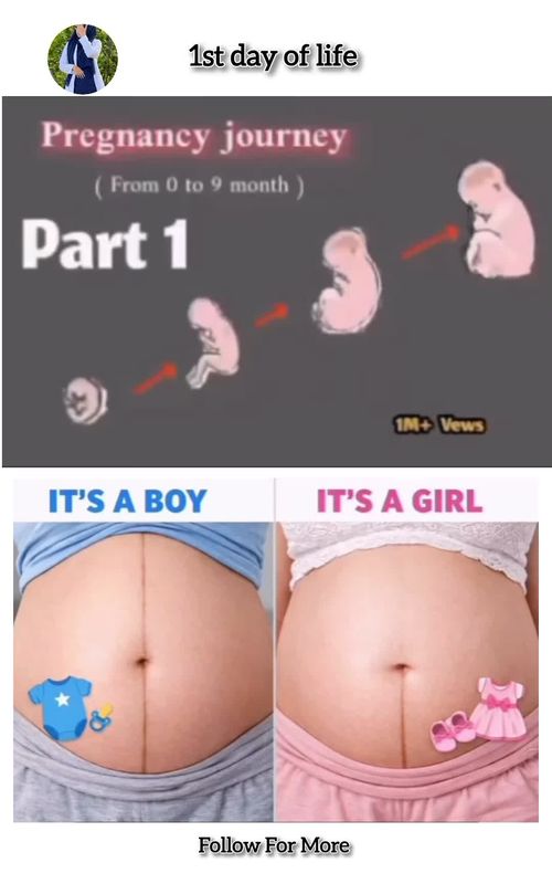 36 weeks #Tiktok #goforyou #Fyp #viral #Foryou 