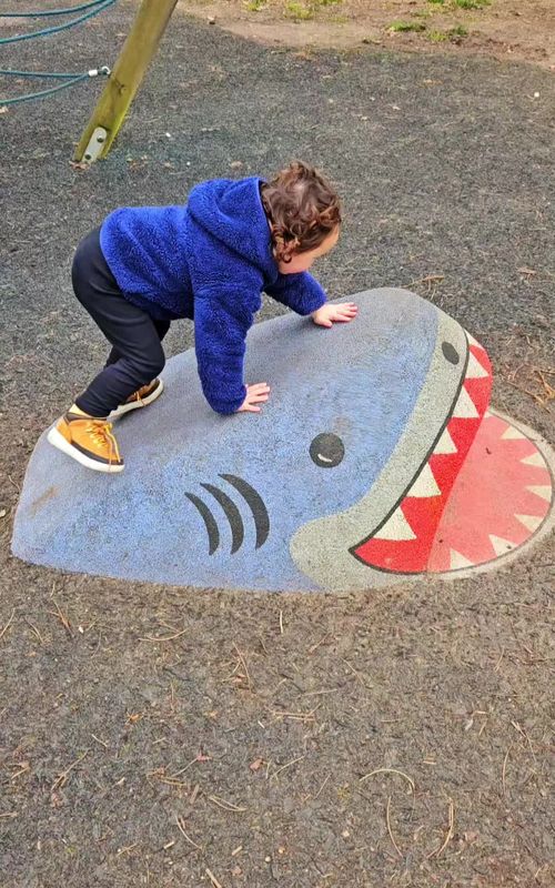 learning animals names  #shark #funnykids #crocodile #dragon 
