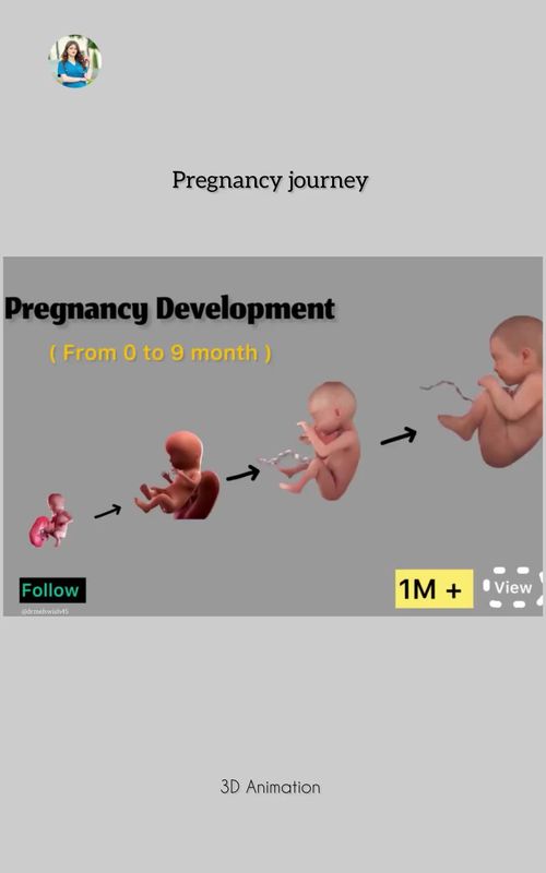 Pregnancy journey. . #fyp #foryouofficial #1millionaudition #pregnancy @Dr Aleena 🩺 @Dua_us @Doctor Zohra @🩺 Dr Sara Khan 🩺 @Dr Maham Ltif @Dr Fatma 🥼 @Doctor Hania @Dr kinza malik 