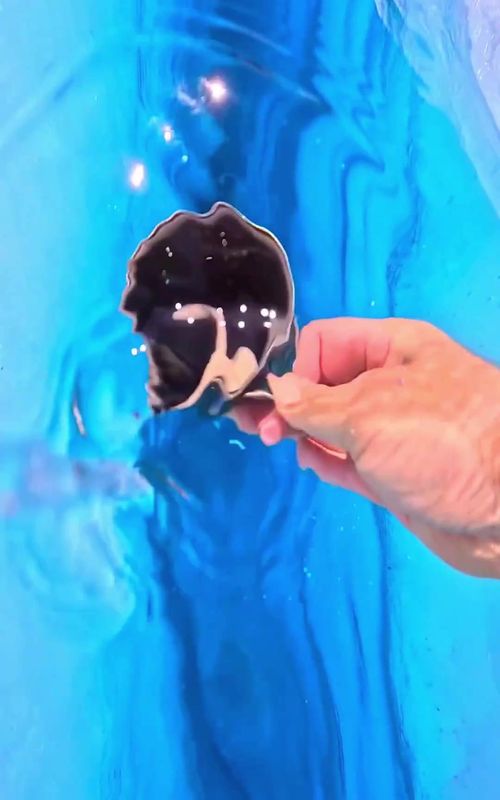 💙 Pristine glacier water! In this video, we delve into the untouched beauty of glacier ice, exploring the essence of the purest water nature has to offer. See more awesome videos 💙 @Nature Symphony  @Nature Symphony  @Nature Symphony  Credit : @johnderting 