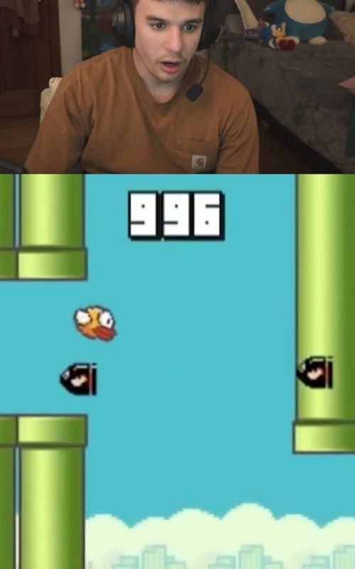 Flappy Bird Ending 😭  #gaming #mobilegame #mobilegames #flappybird #videogames 