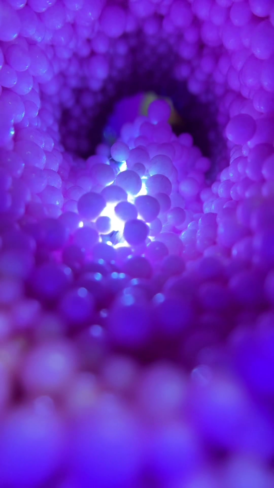 💗#asmr#asmrsounds#asmrsoundsdaily#viral #viralvideo#asmrvideosounds #asmr_tingles#asmrsleep#asmrsensory#as mrrelax#asmrbutterflies#asmrlighttriggers# asmrpopular#asmrtiktoks#asmrsleep#asmrl ove#foryoupage#foryou#asmrsound