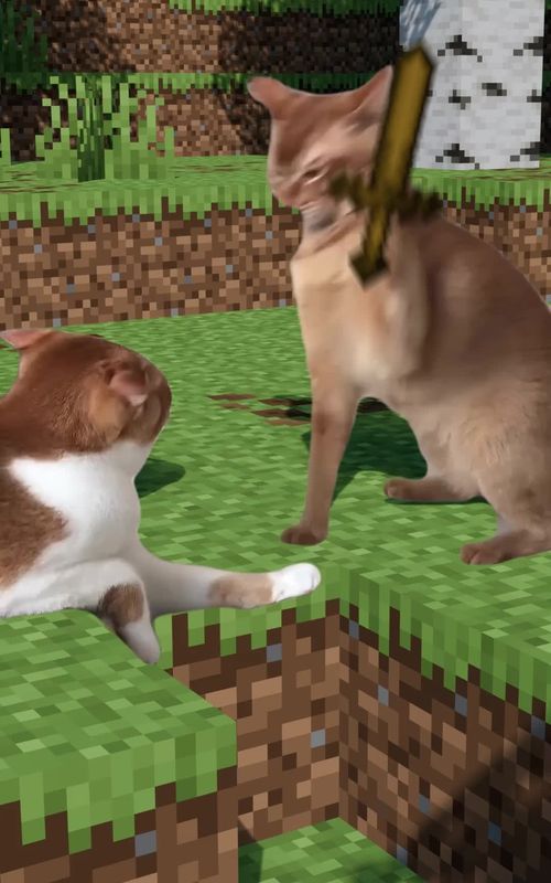 part 2 | #cat #minecraft #foryou #memestiktok #funnytiktok 
