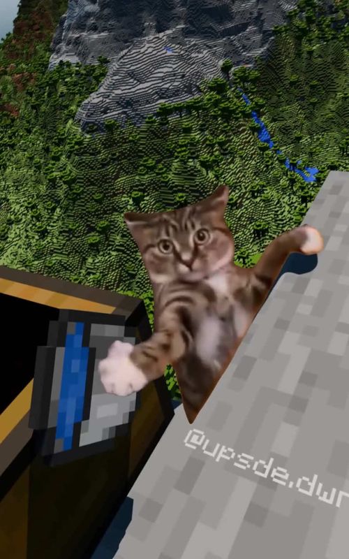 original: unknown #MineCraft #cat #fyp #memestiktok #funnytiktok 