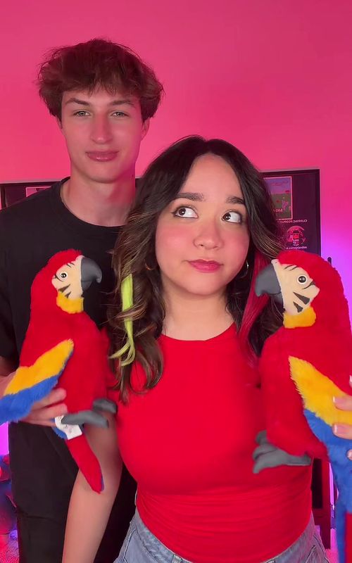 I met the roblox parrot guy 🦜 @nobrainjames #nervy #roblox #parrot #funk 