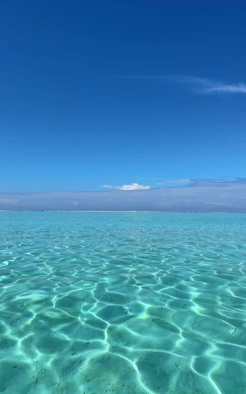 the islands of Tahiti 🌺 #travel #frenchpolynesia #foryou #fyp