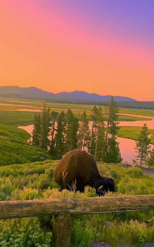 Yellowstone sunset #mountains #yellowstone #wyoming #nationalpark #nature 
