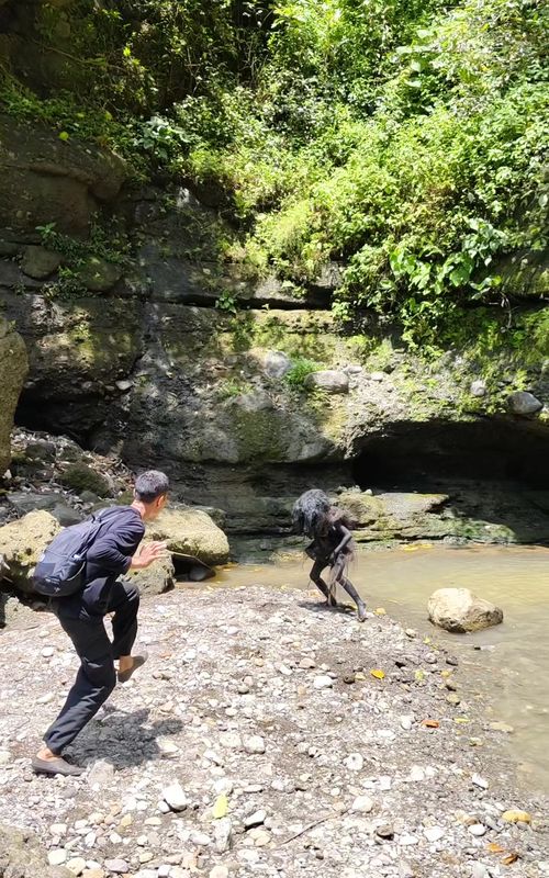 The Owah Buraong tribe, wanting to show off their strength but actually cheating. 🤣🌿🇮🇩#crazy #nature #fyp #adventure #survival 
