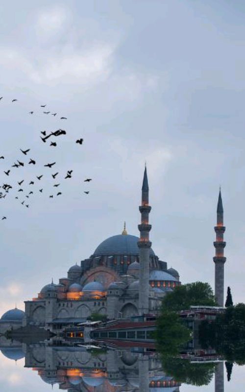 Welcome to Istanbul, Türkiye  🇹🇷  #istanbul #viral #travel  #historiccity #türkiye 