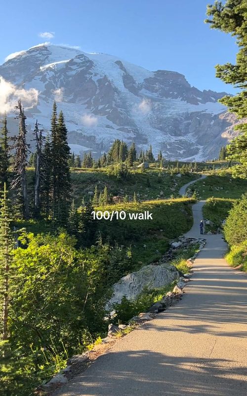 📍Paradise, Mount Rainier National Park in Washington 👌 #bestof #washingtonstate #mountrainier #mountain #vibes 