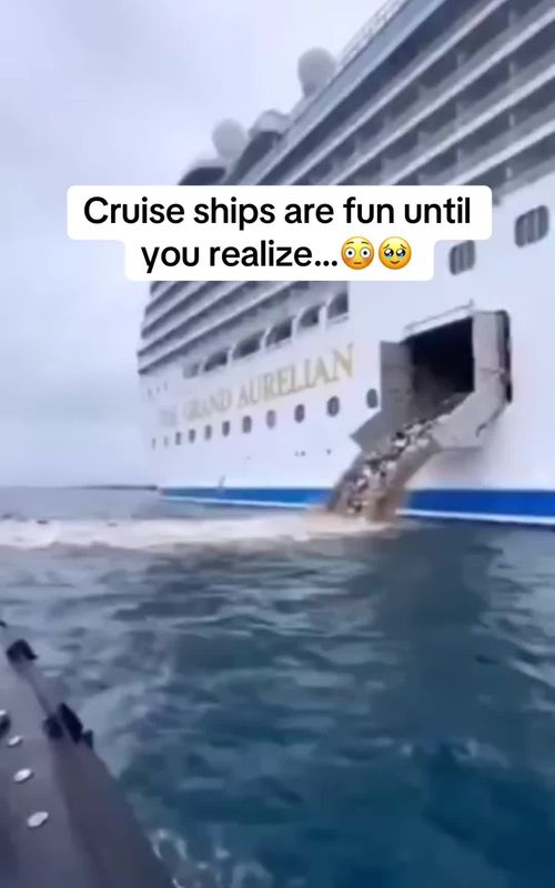 Cruise ships have SECRET jails 🚢⛓️ And that upside-down pineapple? It’s a code. Oh, and the “fresh” fruit? Sitting there for days. Lower decks get LOCKED in emergencies?! The industry doesn’t want you to know this… wait for it 😳 #cruiseship #cruise #cruisetok #travelhacks #usa 