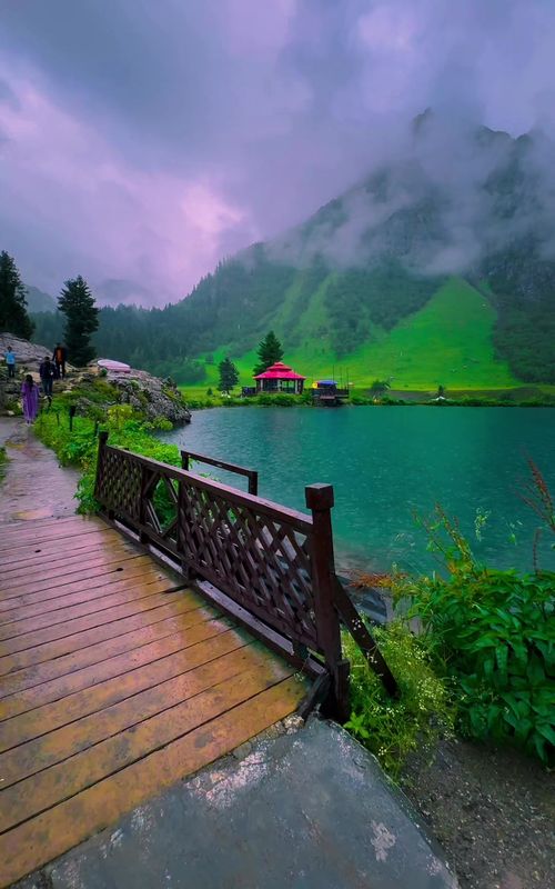 Domal Astore Valley Gilgit Baltistan 🏔️🌧️ 📍: Gilgit Baltistan , Pakistan 🇵🇰  Special Discount on Eid Packages 🤩 Book your Slots Now 📥👉+923489930504 We Organise By Road & By Air Trips I| group tours Il private tours Il Honeymoon tours Il Customised tours Il By air and By Road tours Il A: List of every week public tours to different destinations from Lahore- Faisalabad & Islamabad Our Tour Packages: 08 Days Grand Hunza + Skardu Tour 07 Days Skardu, Deosai & Basho valley 06 Days Skardu & Basho valley 05 Days Hunza-China boarder & Nalter 05 Days Fairy Meadows & Nangaparbat 03 Days Swat-Kalam & Malamjabba 03 Days Arangkel Neelum valley Kashmir 03 Days Kumrat valley Tour 03 Days Naran Kaghan  B: By air trips - 5 Days By air trip to Skardu valley - 5 Days By air trip to Hunza valley - 8 Days Hunza valley plus skardu valley For Further Details Dm us, WhatsApp +923489930504 #unfreezemyacount #travelwithshahbaz_yousaf #dildilpakistan 