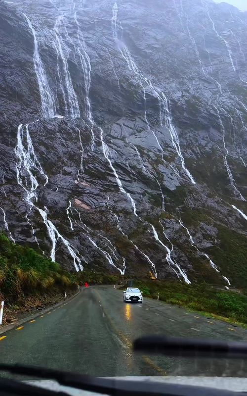 Bucket list New Zealand destination details 👇 🌧️ Send this to your travel buddy! 💦 Did you know you can drive & cruise through Milford Sound, one of the wettest places on Earth, and also one of the most famous fjords in the world? Each year the 20–23 feet of rainfall creates hundreds of waterfalls that cascades down sheer cliffs creating a land of waterfalls.  🌊 This place is MAGICAL- especially in the rain! Passing towering cliffs, dramatic waterfalls, and misty rainforests… this is truly one of the most unforgettable natural adventures in the world. CRUISE DETAILS 👇 🏷️ Price: We paid around $110USD per person with @cruisemilford  ⏱️ Time: Trips typically last 1.5–2 hours on the water. ☔️What To Bring: Rainwear (jacket and pants) and camera. Who would you travel to Milford Sound with?! 💙 #newzealand #milfordsound #newzealandtrip #bucketlist #naturelovers 