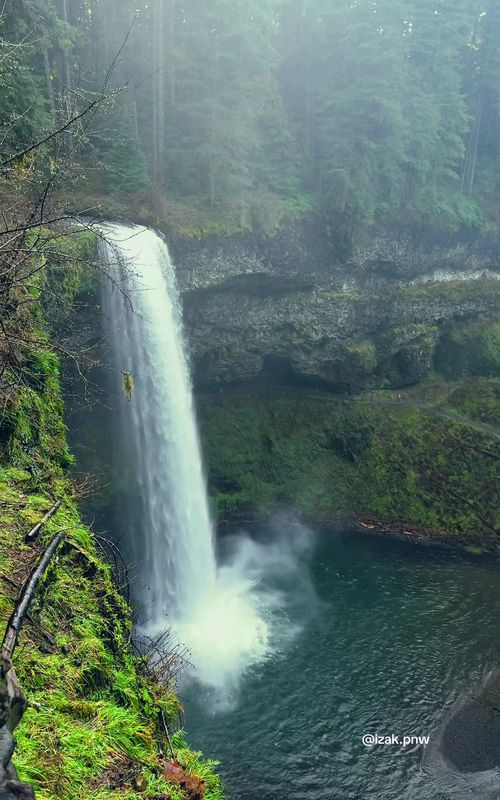Serene waterfall flowing through the enchanting forests of Oregon, cascading past lush, moss-covered greenery and creating a peaceful, dreamlike landscape.  #pnw #pacificnorthwest #waterfall #forest #beautifuldestinations 